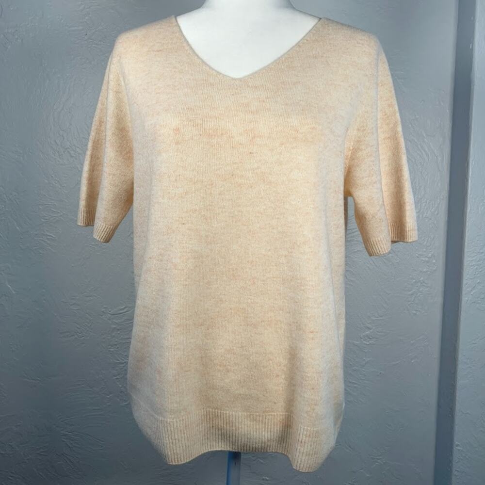 Unbranded Women’s L Beige 100% Superfine Merino Wool Short Sleeve V-Neck Sweater